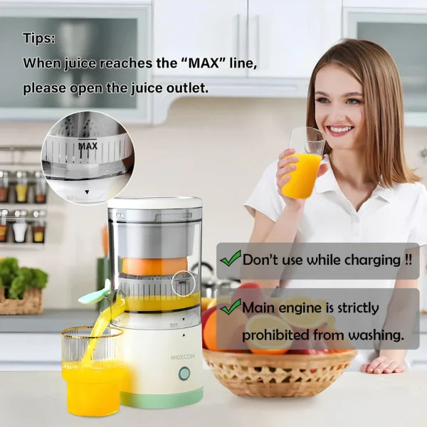Portable electric juicer