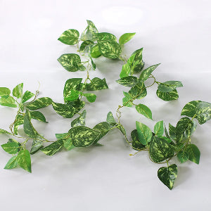 Decorative Green Vine