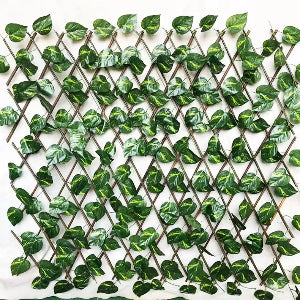 Decorative Green Vine