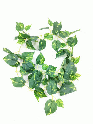 Decorative Green Vine